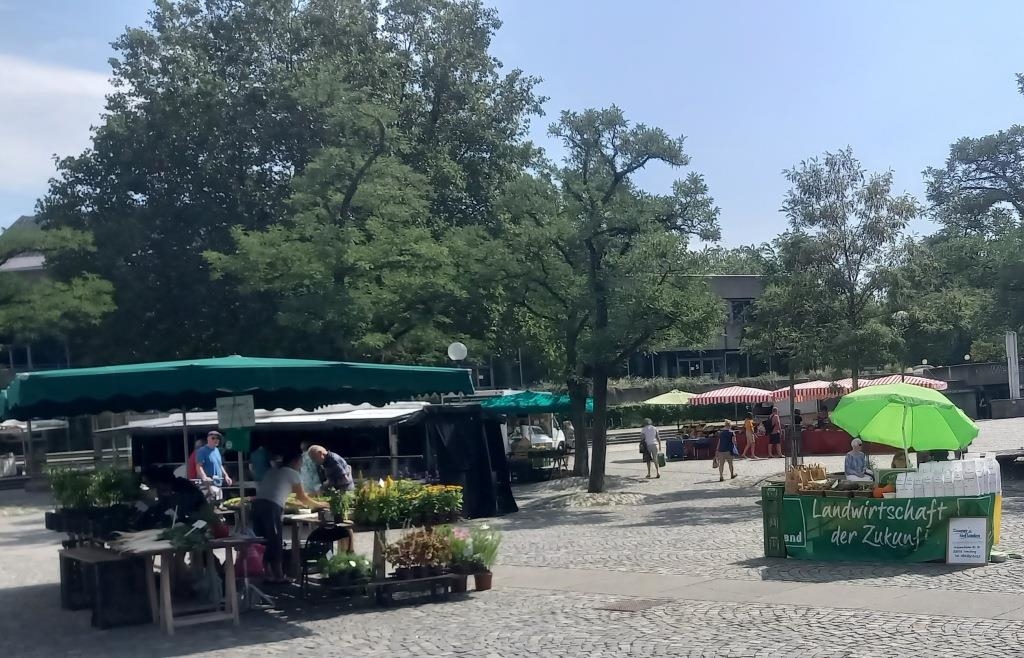 Zieleinlauf beim Halbmarathon Ingolstadt 2025 – Begeisterte Läufer am Theaterplatz