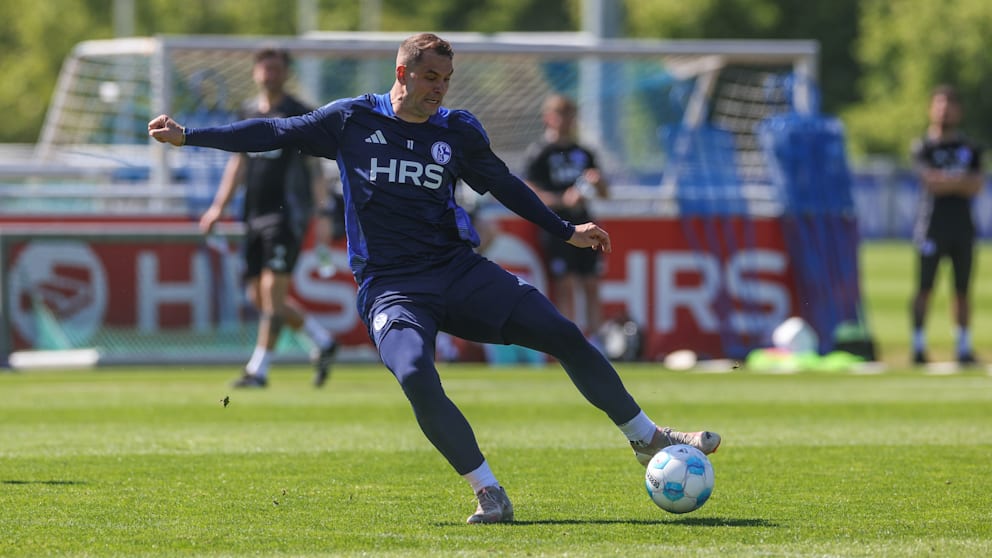 SV Elversberg kämpft im Saisonfinale gegen Schalke 04 um den Aufstieg