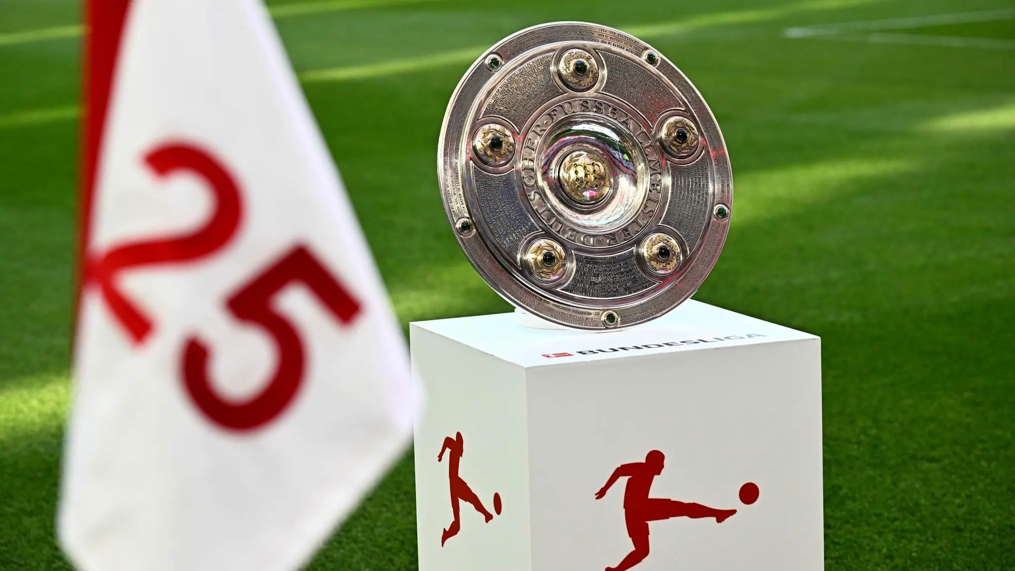 Jubelnde Fußballfans verfolgen die Bundesliga im Live TV Stream