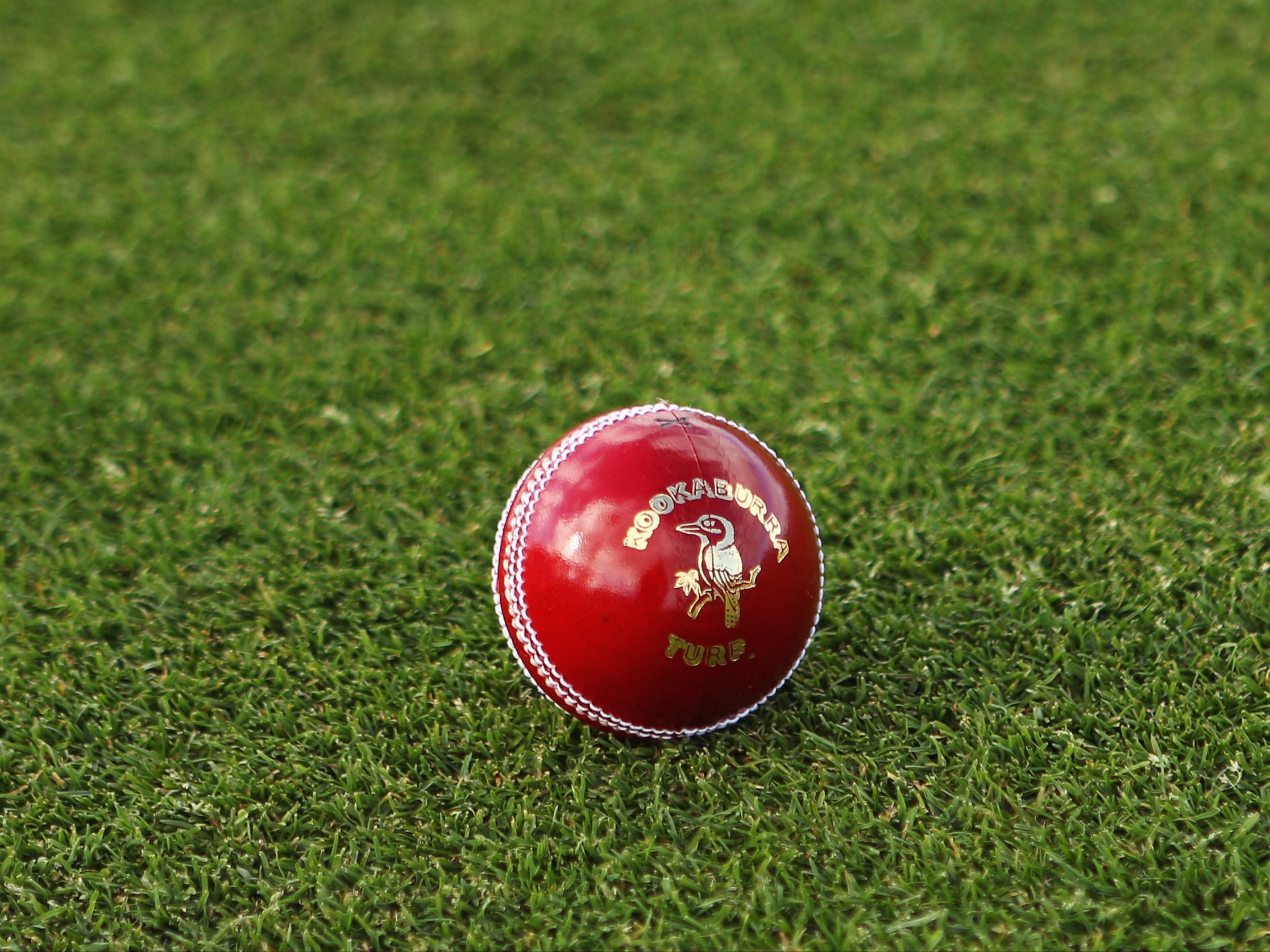 Cricket match action during Bangladesh vs UAE, 2025